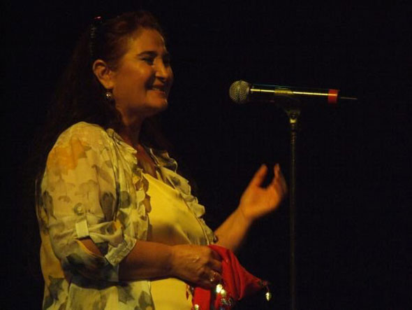 sivas günleri feshane 2012